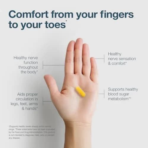 EuroMedica Nerve Complex 60 Capsules | Supports Nerve Function & Circulation thumbnail 4