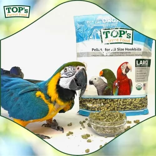 TOP's Parrot Food USDA Organic Certified Non-GMO Bird Food for Hookbills 1.82 kg (4 lb) | Complete Diet for Large Parrots thumbnail 6