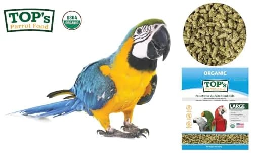 TOP's Parrot Food USDA Organic Certified Non-GMO Bird Food for Hookbills 1.82 kg (4 lb) | Complete Diet for Large Parrots thumbnail 3