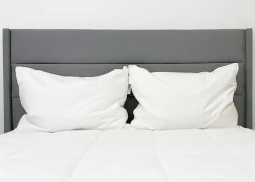 Pillowtex Hotel Feather & Down King Pillow Set (2 Pack) | Medium-Firm Support, White, Cotton Cover thumbnail 3