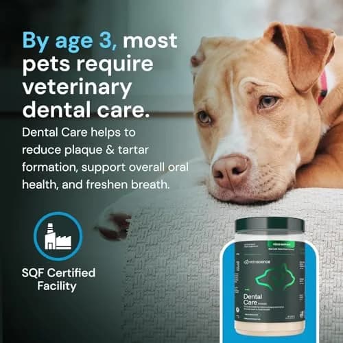 VETRISCIENCE Dental Care Powder 16 Oz | Supports Oral Hygiene & Fresh Breath thumbnail 7