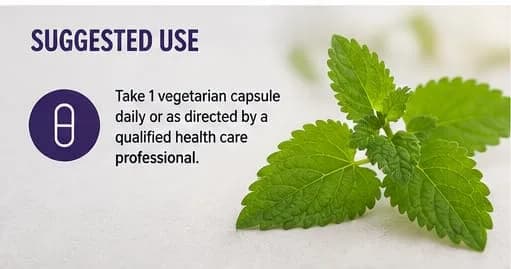 Paradise Herbs & Essentials Lemon Balm Extract, Vegan, 60 Capsules | Supports Calm & Relaxation thumbnail 11