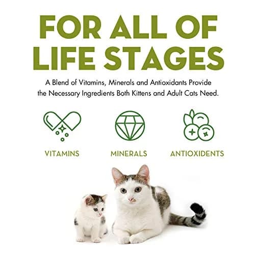 AvoDerm Natural Tuna & Crab Entrée in Gravy - Grain Free Wet Canned Cat Food 5 oz thumbnail 3