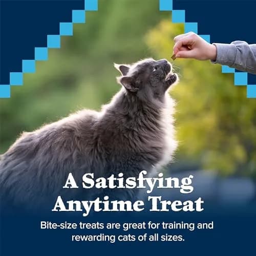 Blue Buffalo Wilderness Chicken & Turkey Soft Cat Treats 57g (2 oz) | Grain-Free, Real Meat First thumbnail 4
