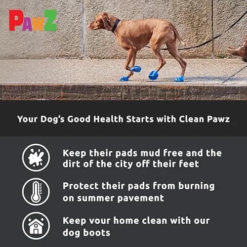 Protex PawZ Rubber Dog Boots for Medium Paws | All-Weather Waterproof, Anti-Slip (70-120 chars) thumbnail 5