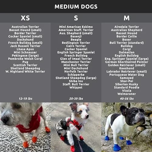 Protex PawZ Rubber Dog Boots for Medium Paws | All-Weather Waterproof, Anti-Slip (70-120 chars) thumbnail 4