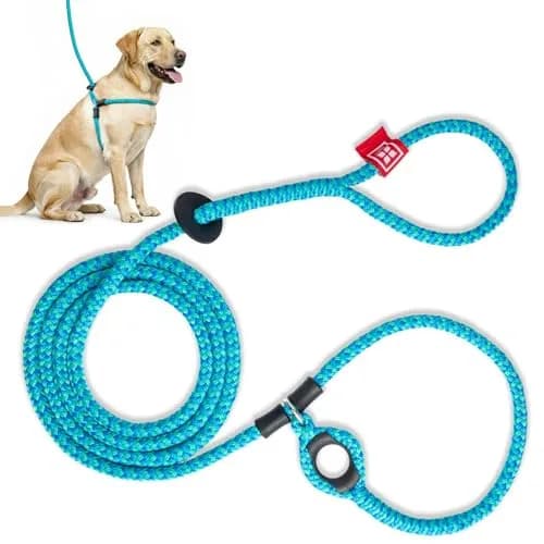 Harness Lead No Pull Dog Harness and Leash Set | Anti Pull, All Sizes, Blue/Multi thumbnail 1