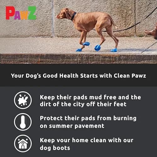 Protex PawZ Rubber Dog Boots - Waterproof Non-Slip Dog Shoes & Booties, 12 Pack | All-Weather Paw Protection for Small Dogs thumbnail 5
