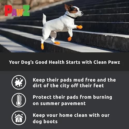 Protex PawZ Rubber Dog Boots Waterproof Non-Slip Shoes 12 Pack | All-Weather Paw Protection (120 chars) thumbnail 5