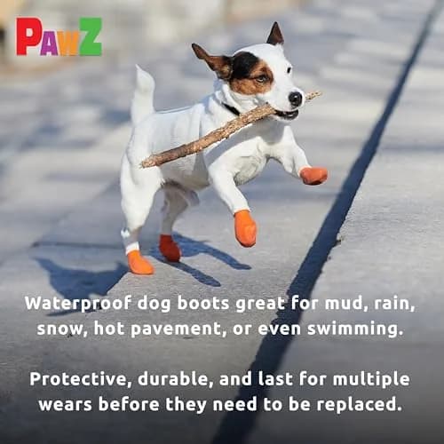 Protex PawZ Rubber Dog Boots Waterproof Non-Slip Shoes 12 Pack | All-Weather Paw Protection (120 chars) thumbnail 7