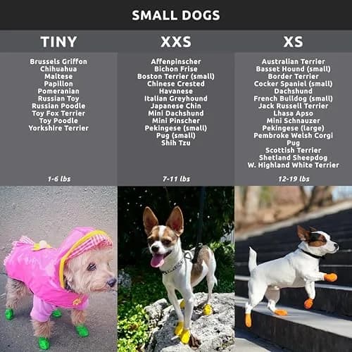 Protex PawZ Rubber Dog Boots Waterproof Non-Slip Shoes 12 Pack | All-Weather Paw Protection (120 chars) thumbnail 4