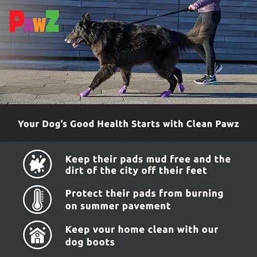 PawZ Rubber Dog Boots - Waterproof Non-Slip Dog Shoes for Hot Pavement, 12 Pack XL thumbnail 5