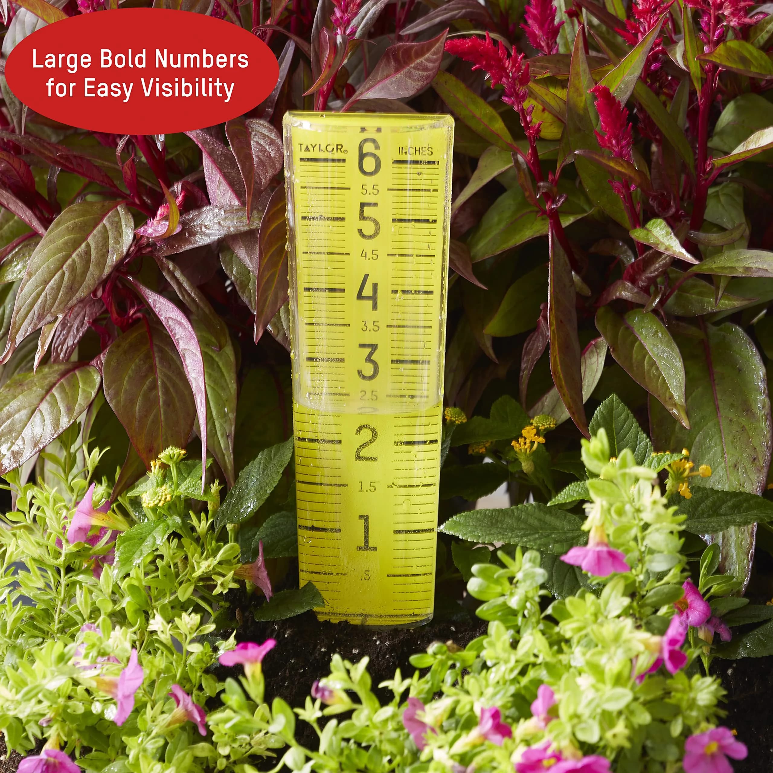 Taylor ClearVu Rain Gauge 15.6 cm (6 inch) Capacity | Measure Rainfall Accurately - view 5