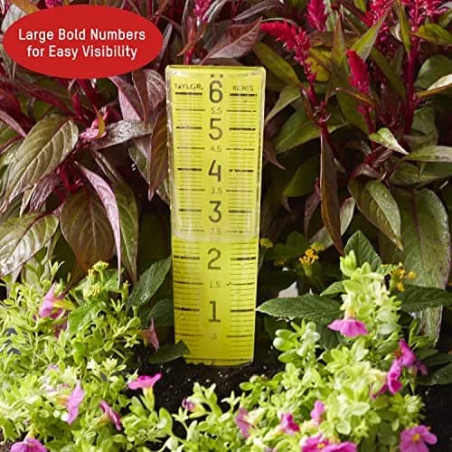 Taylor ClearVu Rain Gauge 15.6 cm (6 inch) Capacity | Measure Rainfall Accurately thumbnail 5