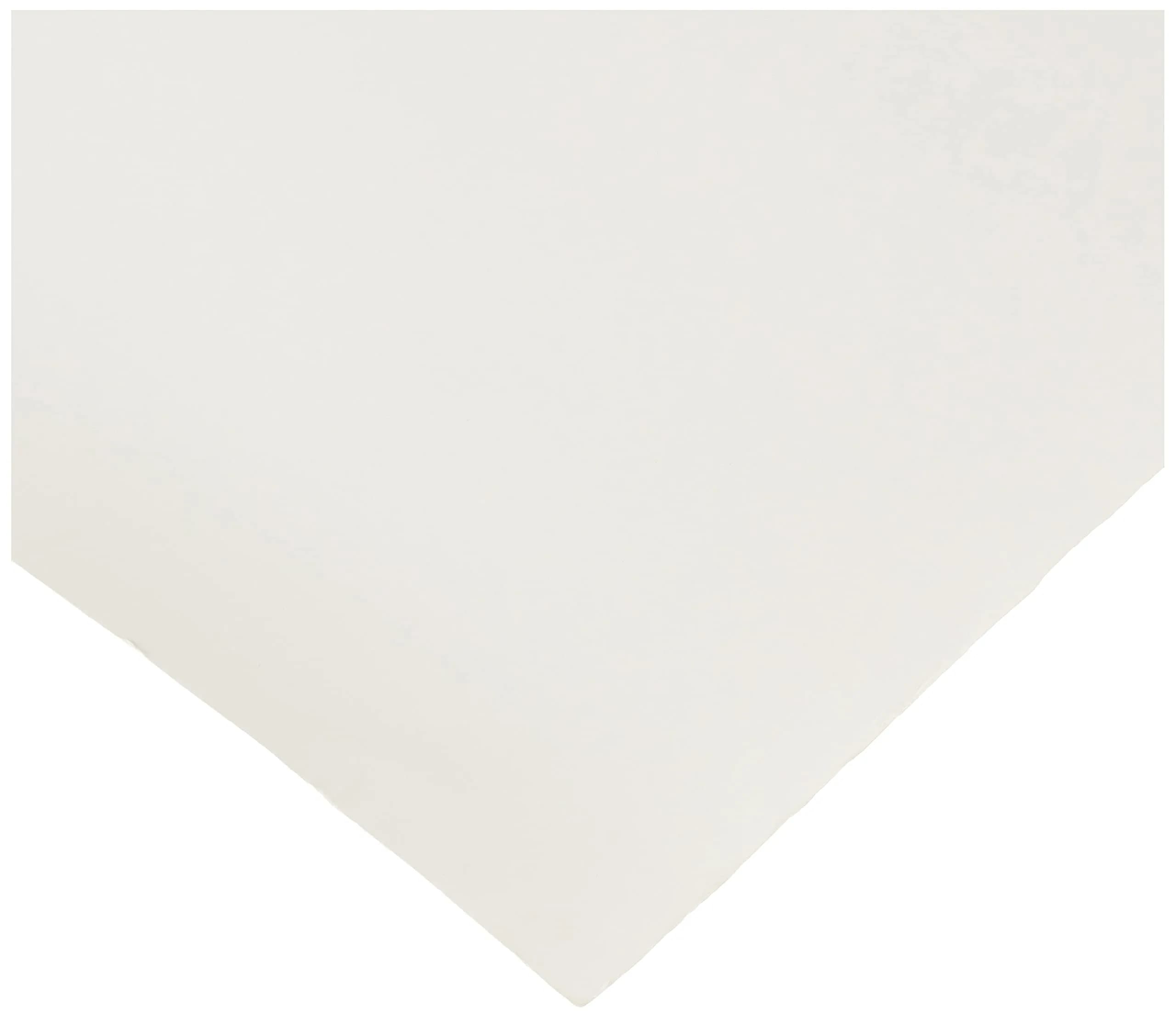 Strathmore 300 Series Bristol Paper Roll, Smooth Surface, White, 42 x 360 inches - view 2