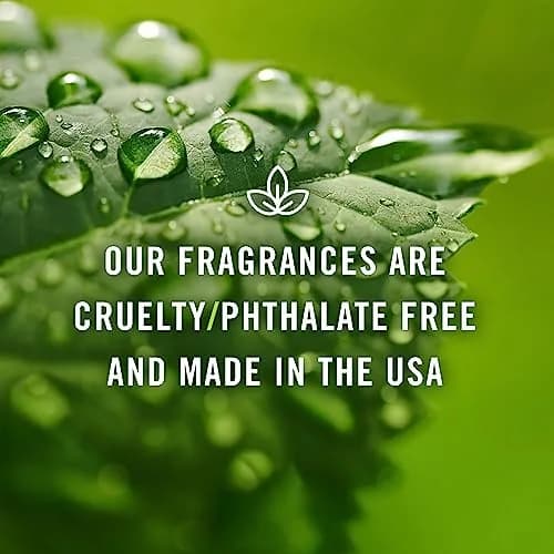 P&J Trading Banana Fragrance Oil 30ml (1.01 Fl Oz) | IFRA Certified Master Perfumer Scent thumbnail 6