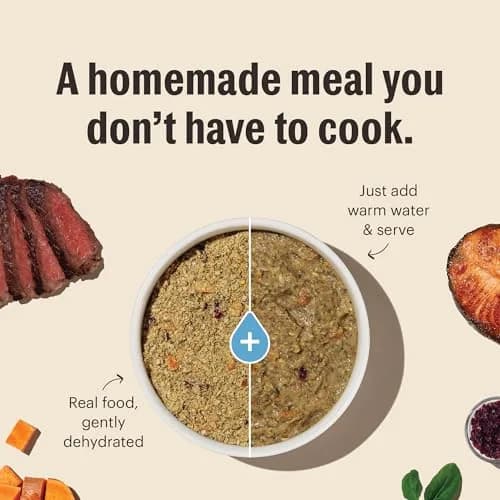 The Honest Kitchen Wholemade Grain Free Turkey Recipe Dehydrated Dog Food 10 lb (4.54 kg) | Supports Digestion & Coat thumbnail 4