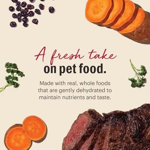The Honest Kitchen Wholemade Grain Free Beef Recipe Dehydrated Dog Food 10 lb (4.54 kg) | Makes 40 lbs of Wholesome Food thumbnail 3