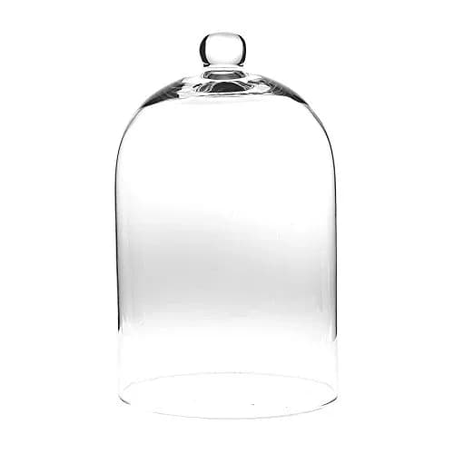 Abbott Collection Classic Shaped Cloche | Elegant Glass Display Dome 10"H thumbnail 1