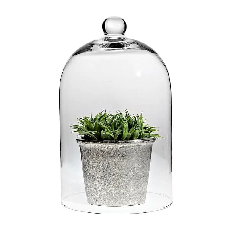 Abbott Collection Classic Shaped Cloche | Elegant Glass Display Dome 10"H thumbnail 2