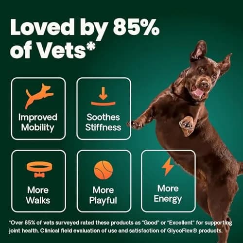 VetriScience Glycoflex 3 Hip and Joint Supplement for Dogs 240 Tablets (2-Pack) | Clinically Proven Canine Joint Support thumbnail 5