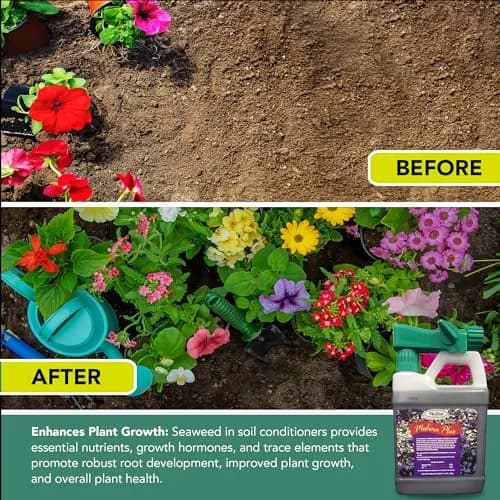 Medina Soil Activator - Liquid Soil Loosener for Lawns & Gardens | Micronutrient-Rich Soil Conditioner & Softener for Plants thumbnail 4
