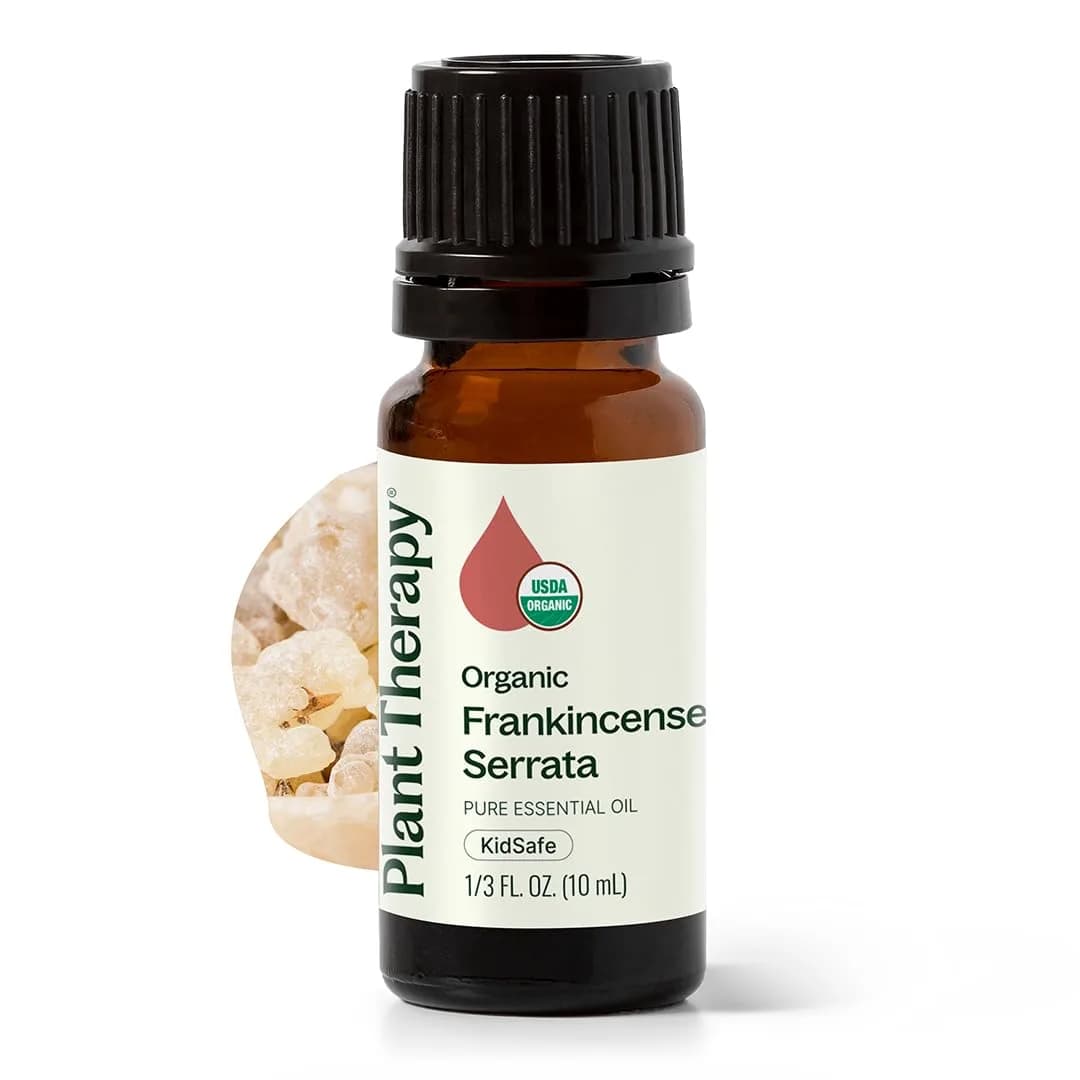 Plant Therapy Organic Frankincense Serrata Essential Oil 10 mL | USDA Certified Organic, Non-GMO - main product image