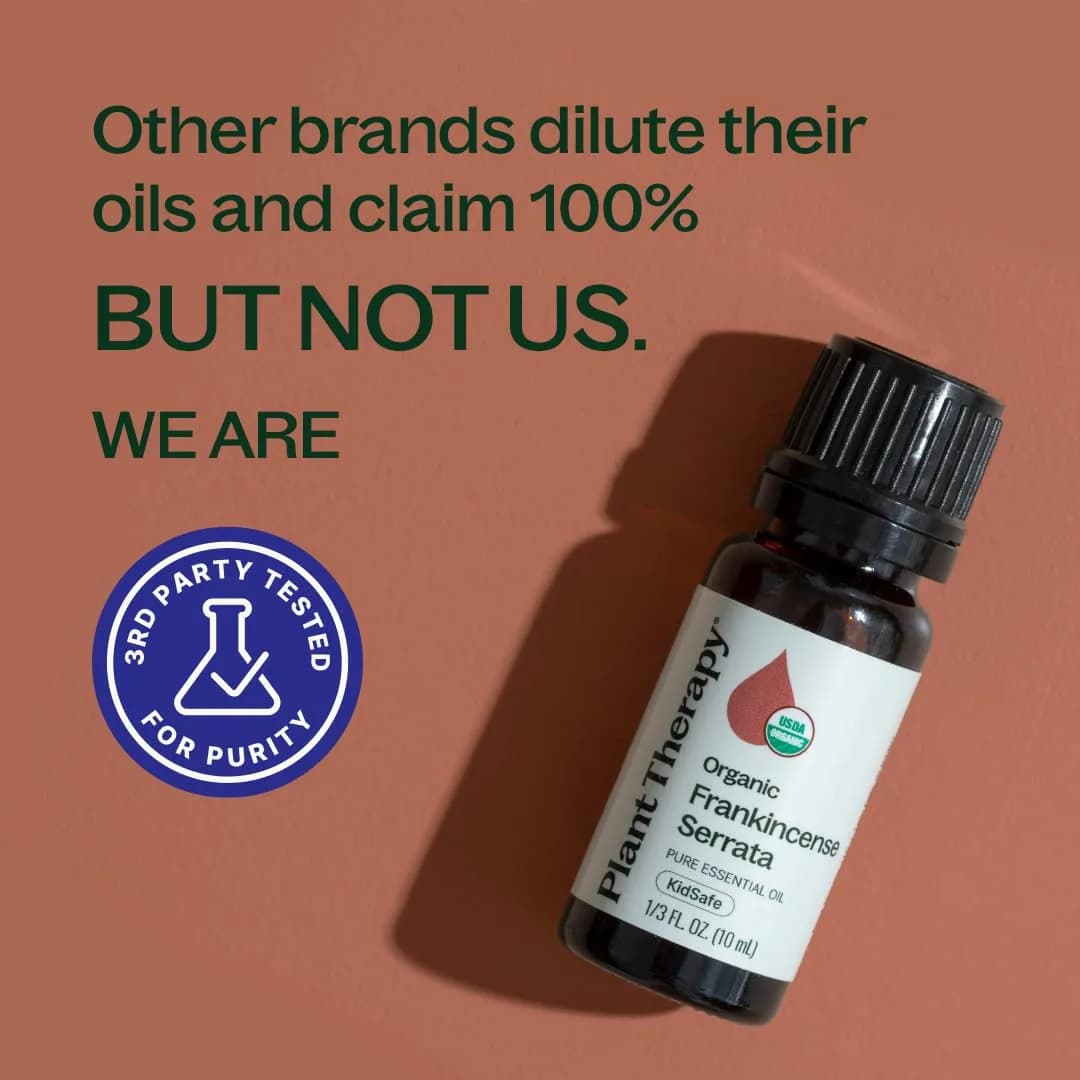 Plant Therapy Organic Frankincense Serrata Essential Oil 10 mL | USDA Certified Organic, Non-GMO - view 5
