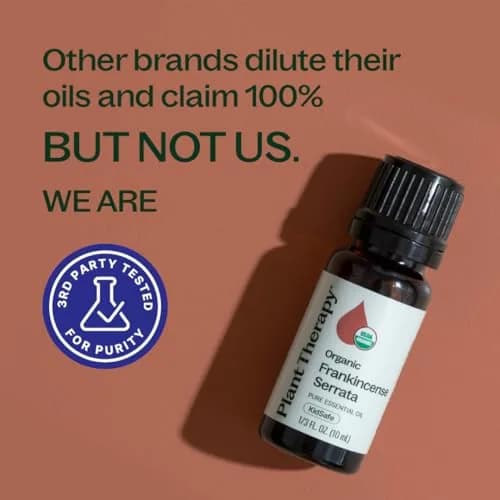 Plant Therapy Organic Frankincense Serrata Essential Oil 10 mL | USDA Certified Organic, Non-GMO thumbnail 5