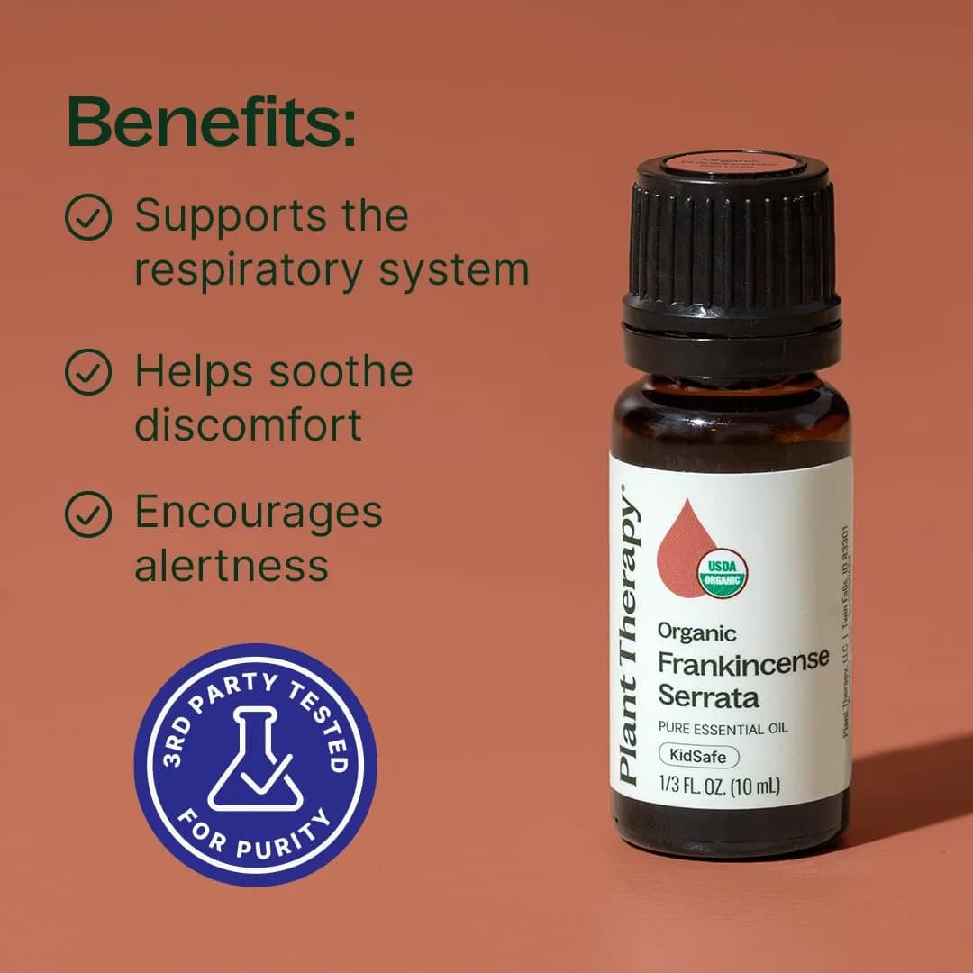 Plant Therapy Organic Frankincense Serrata Essential Oil 10 mL | USDA Certified Organic, Non-GMO - view 2