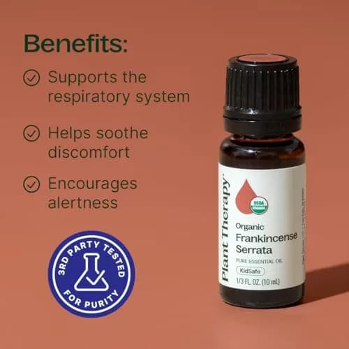 Plant Therapy Organic Frankincense Serrata Essential Oil 10 mL | USDA Certified Organic, Non-GMO thumbnail 2