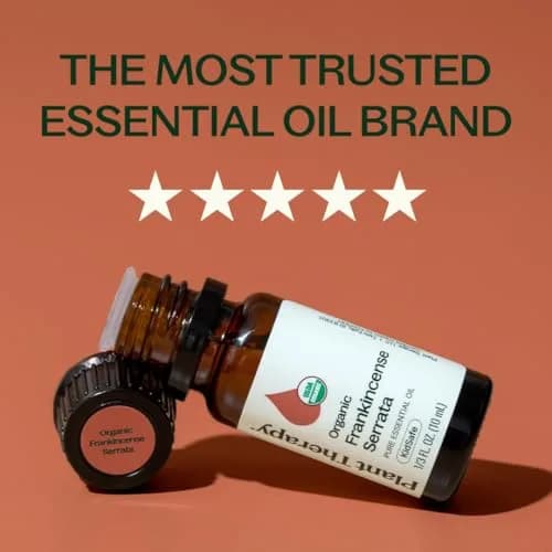 Plant Therapy Organic Frankincense Serrata Essential Oil 10 mL | USDA Certified Organic, Non-GMO thumbnail 3