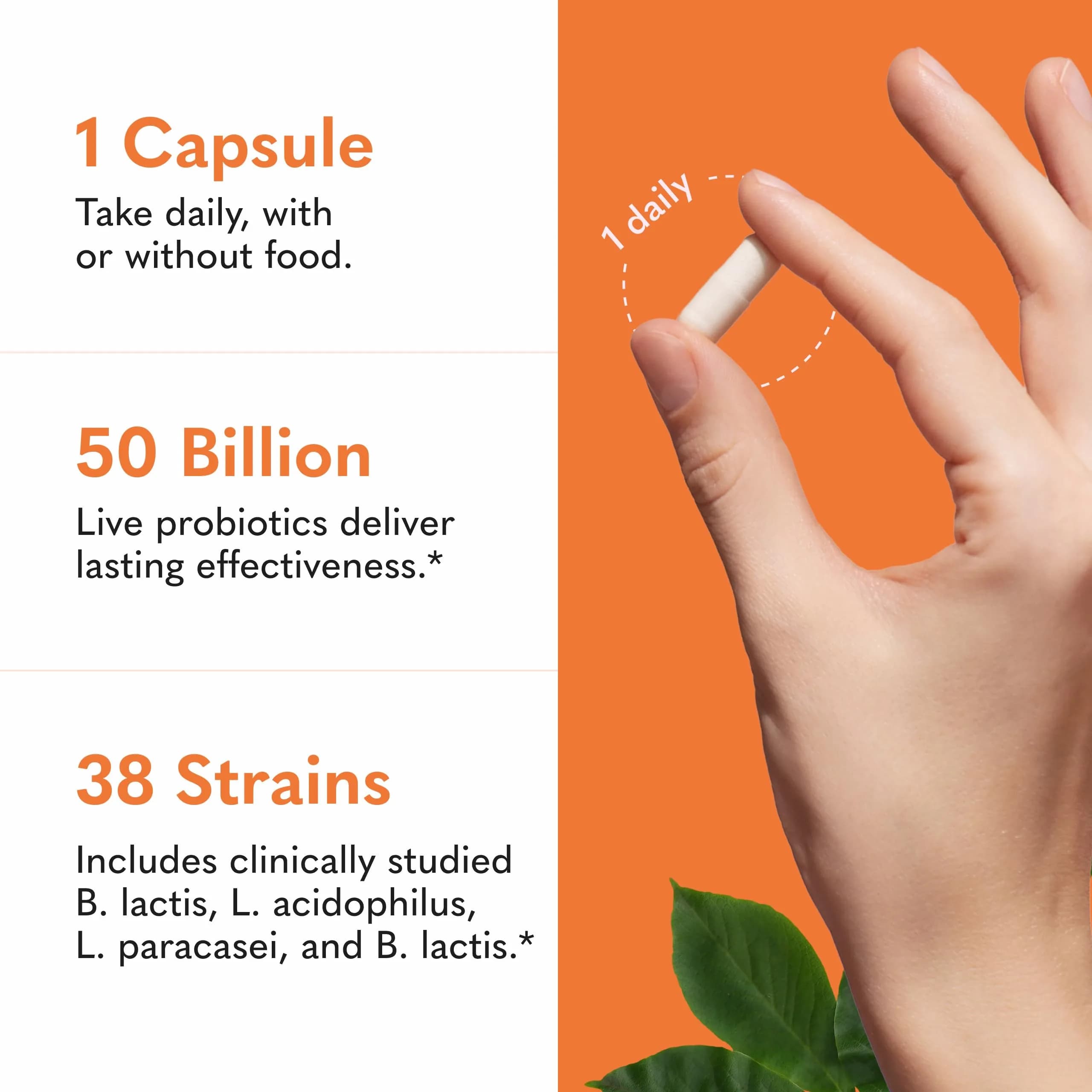 Garden of Life Raw Probiotics Ultimate Care 30 Vegetarian Capsules | 100 Billion CFU Probiotic for Gut Health - view 3