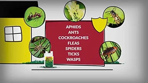 Compare-N-Save 7.9% Bifenthrin Concentrate Insect Control 236ml (8 Fl Oz) | EPA Registered Insecticide for Indoor & Outdoor Use thumbnail 3