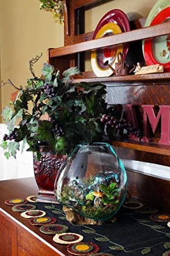Cohasset Molten Glass | #650-24 | Handcrafted Terrarium & Fairy Garden Sculpture | 9.5" Wide | Recycled Glass & Wood thumbnail 3
