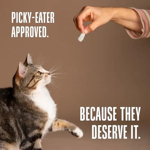 Whole Life Pet Products Just One Chicken Freeze Dried Cat Treats 113g (4 oz) | Single Ingredient Protein-Rich Cat Snacks thumbnail 6