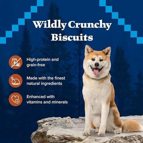 Blue Buffalo Wilderness Turkey Crunchy Dog Biscuits, Grain-Free, 283g (10 oz) | High-Protein, No Artificial Preservatives thumbnail 6