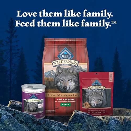 Blue Buffalo Wilderness Turkey Crunchy Dog Biscuits, Grain-Free, 283g (10 oz) | High-Protein, No Artificial Preservatives thumbnail 8