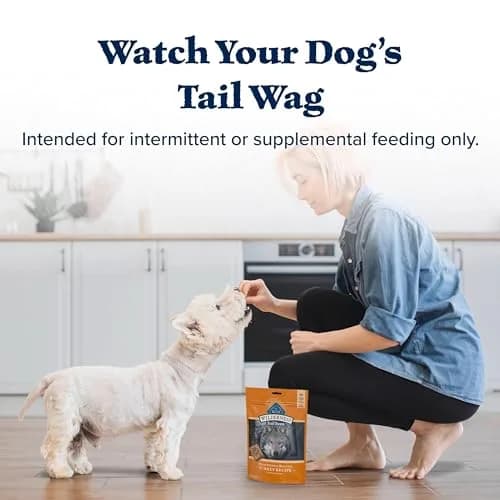 Blue Buffalo Wilderness Turkey Crunchy Dog Biscuits, Grain-Free, 283g (10 oz) | High-Protein, No Artificial Preservatives thumbnail 9