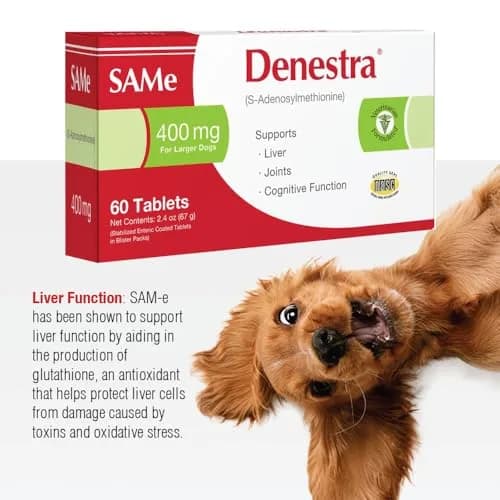 Denestra S-Adenosyl-L-Methionine 400 mg for Dogs | Liver, Joint & Brain Support thumbnail 4