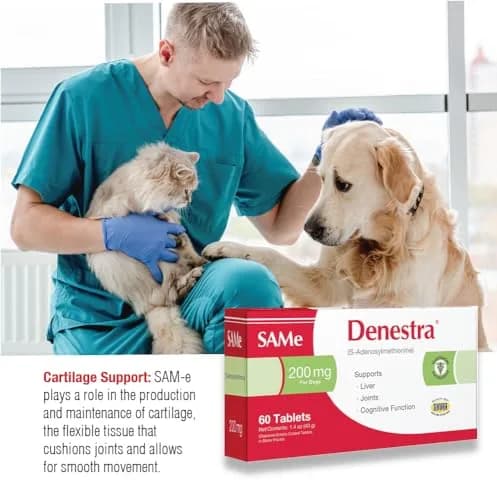 Denestra S-Adenosyl-L-Methionine 400 mg for Dogs | Liver, Joint & Brain Support thumbnail 5