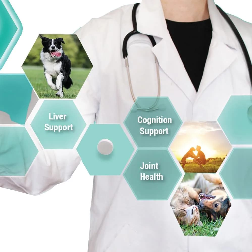 Denestra S-Adenosyl-L-Methionine 400 mg for Dogs | Liver, Joint & Brain Support thumbnail 6