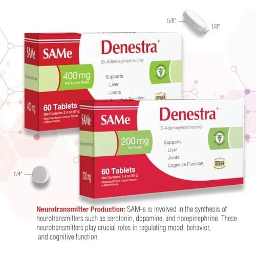 Denestra S-Adenosyl-L-Methionine 400 mg for Dogs | Liver, Joint & Brain Support thumbnail 8