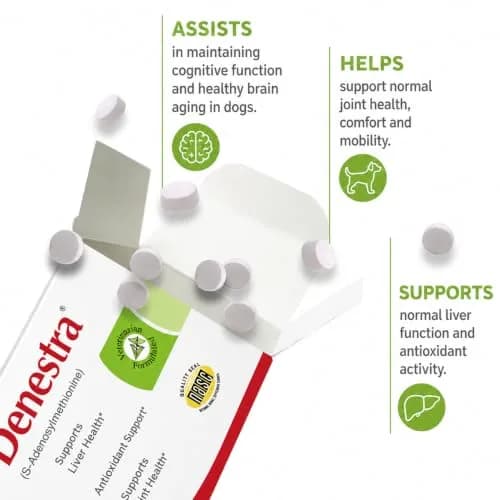 Denestra S-Adenosyl-L-Methionine 400 mg for Dogs | Liver, Joint & Brain Support thumbnail 2