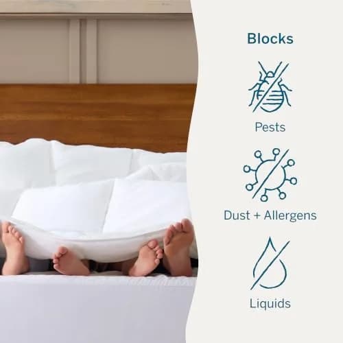 LUCID Waterproof Mattress Encasement Queen Size | 6-Sided Full Protection, Breathable & Quiet thumbnail 4