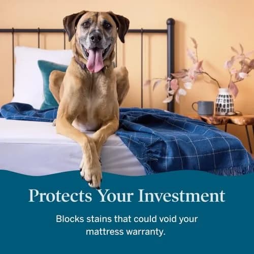 LUCID Waterproof Mattress Encasement Queen Size | 6-Sided Full Protection, Breathable & Quiet thumbnail 6