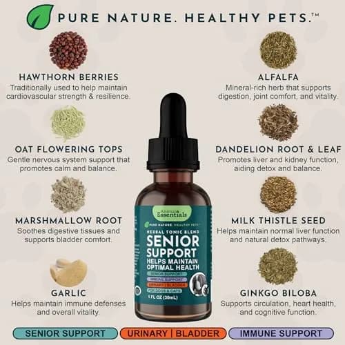 Animal Essentials Senior Support for Dogs & Cats Supplement - 2 fl Oz | Supports Mental & Physical Well-Being thumbnail 4
