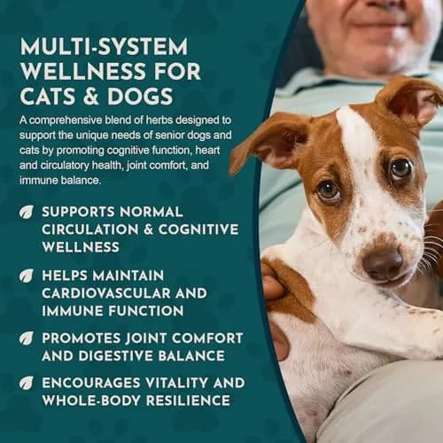 Animal Essentials Senior Support for Dogs & Cats Supplement - 2 fl Oz | Supports Mental & Physical Well-Being thumbnail 6