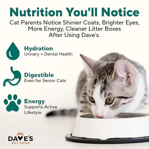 Dave's Pet Food Grain Free Canned Cat Food, Turkey & Giblets Pate, 12.5 oz | High-Protein, Grain-Free Nutrition thumbnail 4