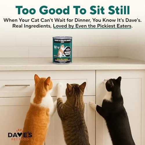 Dave's Pet Food Grain Free Canned Cat Food, Turkey & Giblets Pate, 12.5 oz | High-Protein, Grain-Free Nutrition thumbnail 6